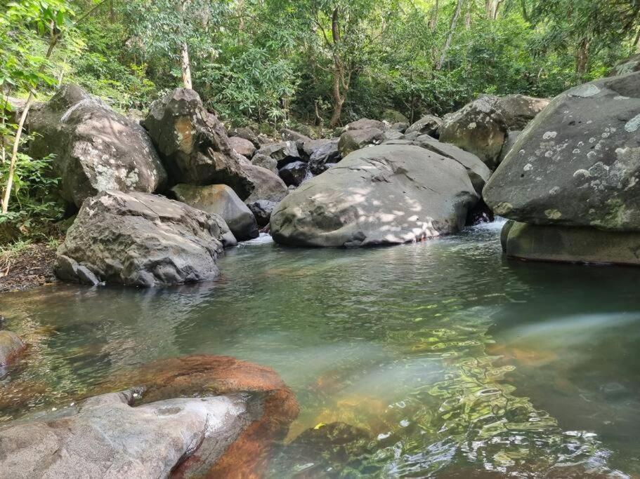 L'Ilet Paradise Pointe-Noire Kültér fotó